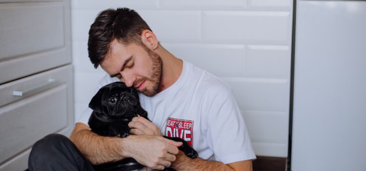 pets