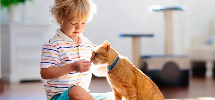 emotional support dog in apartment
