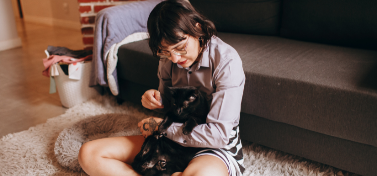pets