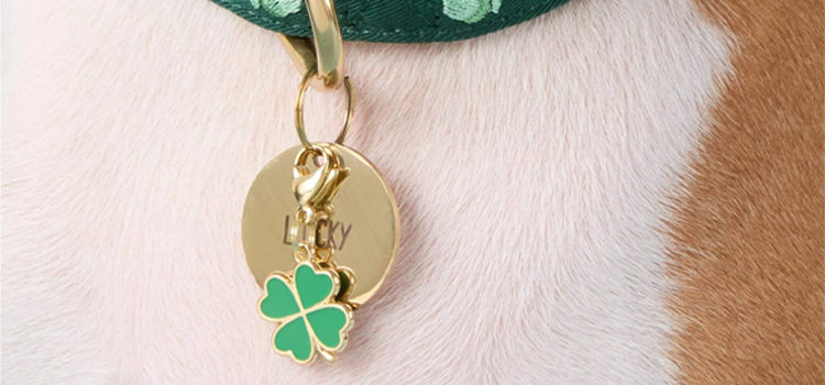 Happy tenant with emotional support dog holding ESA letter for housing, preparing for spring apartment lease season in 2026