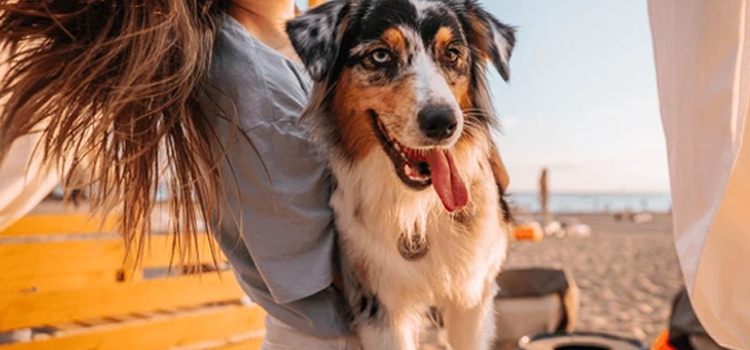 A calm individual sitting on a sofa with an emotional support dog, illustrating the stress-reducing benefits of a clinical support animal during National Stress Awareness Month.