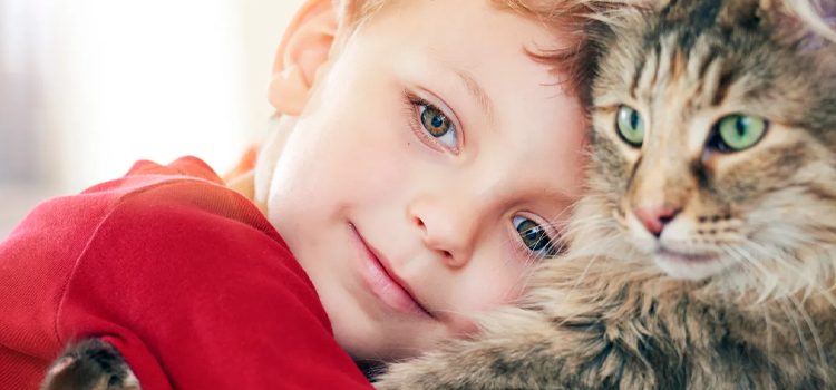 Map of 2026 U.S. state-specific licensing requirements for an ESA housing letter, highlighting telehealth compliance and clinical standards for emotional support animal documentation.