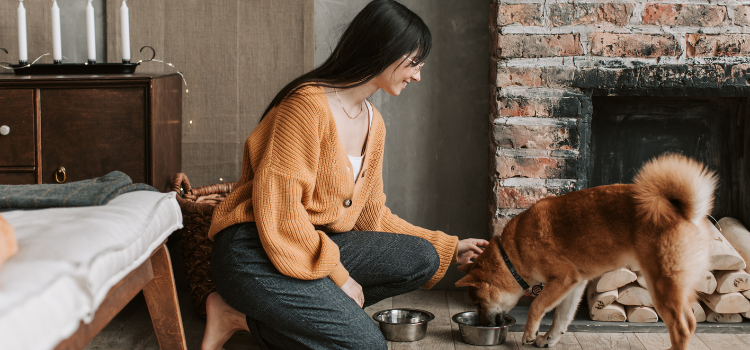 A girl feeding her dog