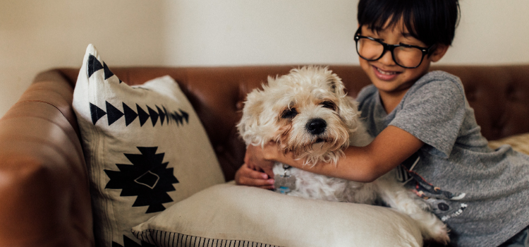 pets